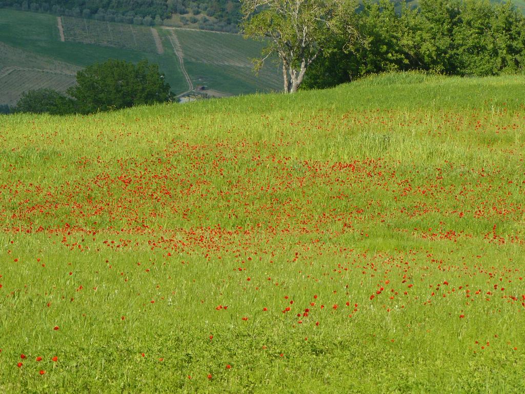 Montepulciano Stazione 일 팔라초 데이 디아볼리 빌라 외부 사진