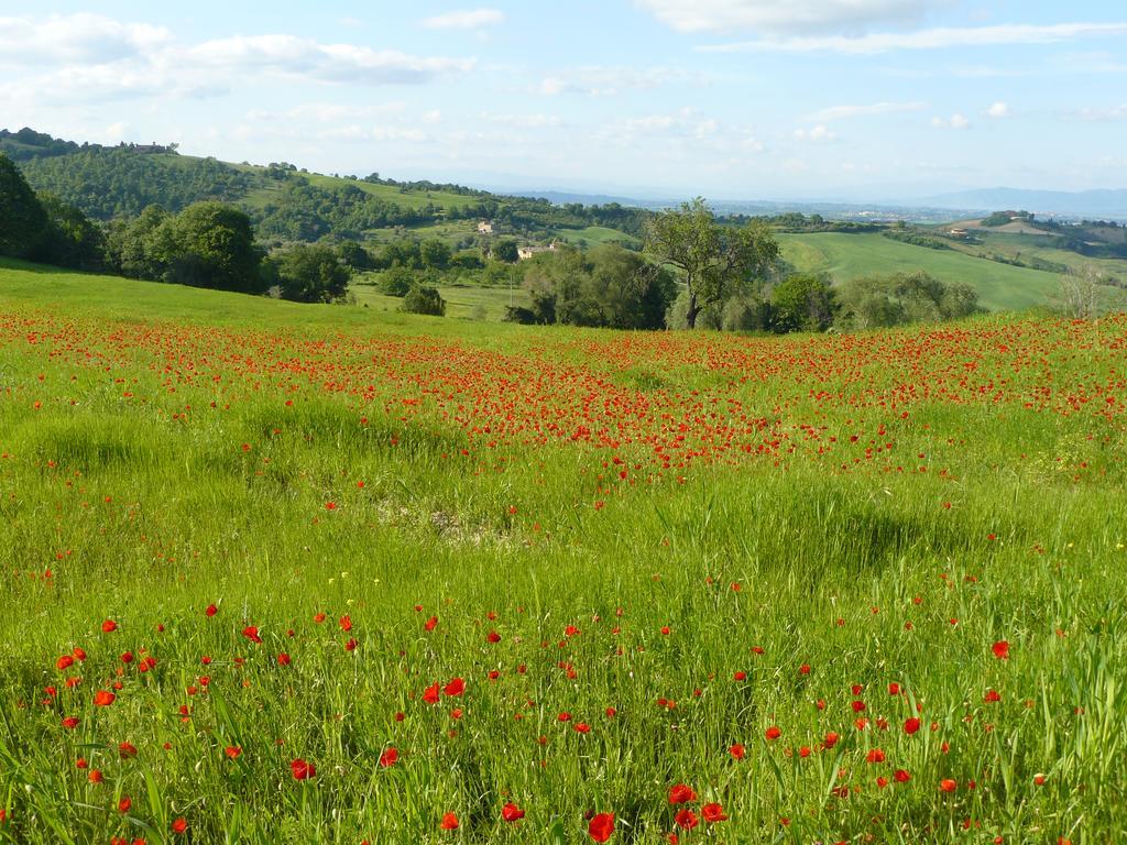 Montepulciano Stazione 일 팔라초 데이 디아볼리 빌라 외부 사진