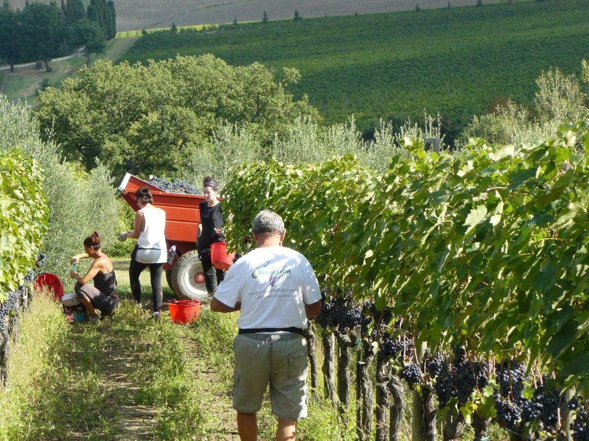 Montepulciano Stazione 일 팔라초 데이 디아볼리 빌라 외부 사진