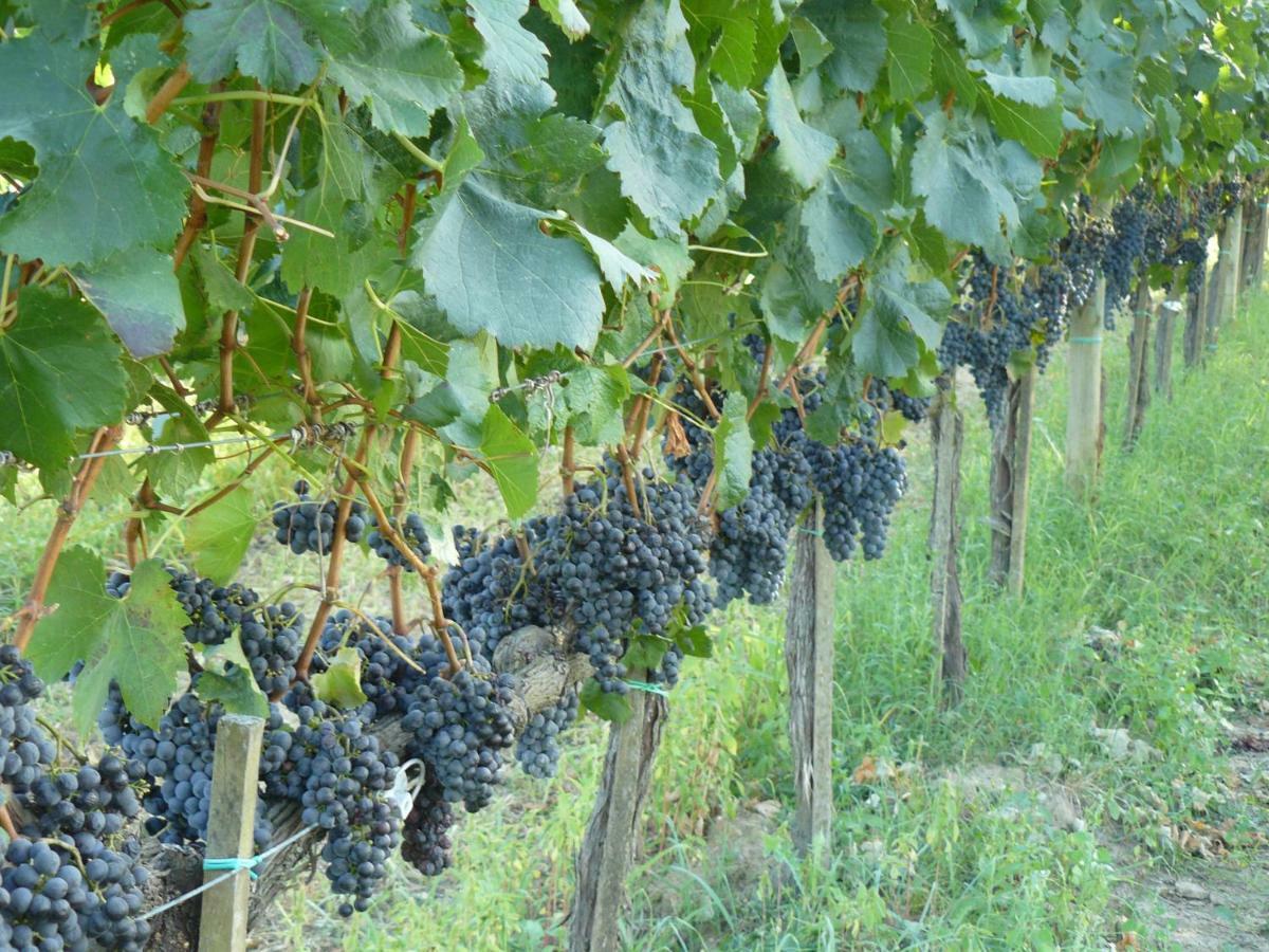 Montepulciano Stazione 일 팔라초 데이 디아볼리 빌라 외부 사진